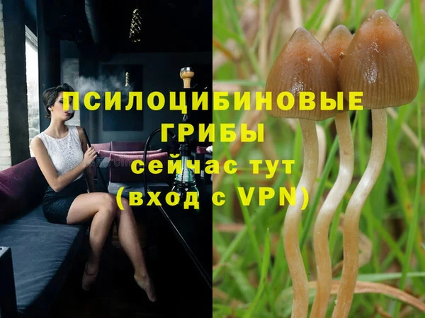 каннабис Абинск