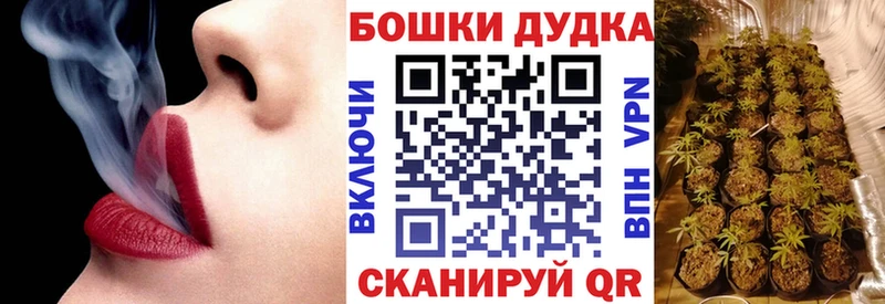 Бошки Шишки SATIVA & INDICA  купить   Киселёвск 